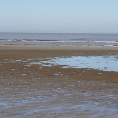 DSC05087