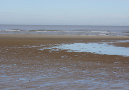 DSC05087