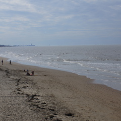 DSC05088