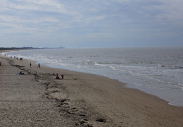 DSC05088