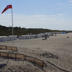 DSC05089