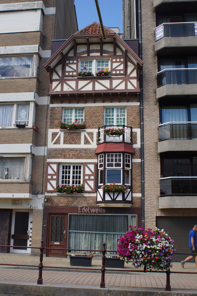DSC05105.jpg