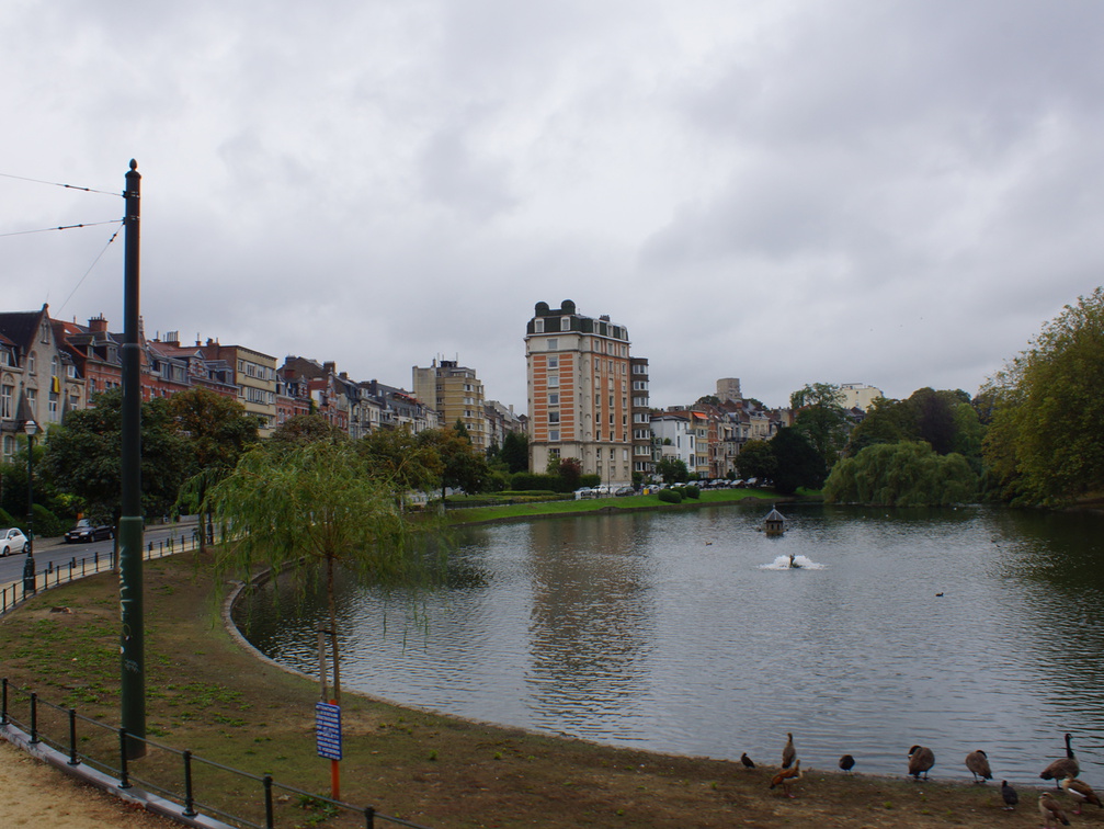 DSC05240