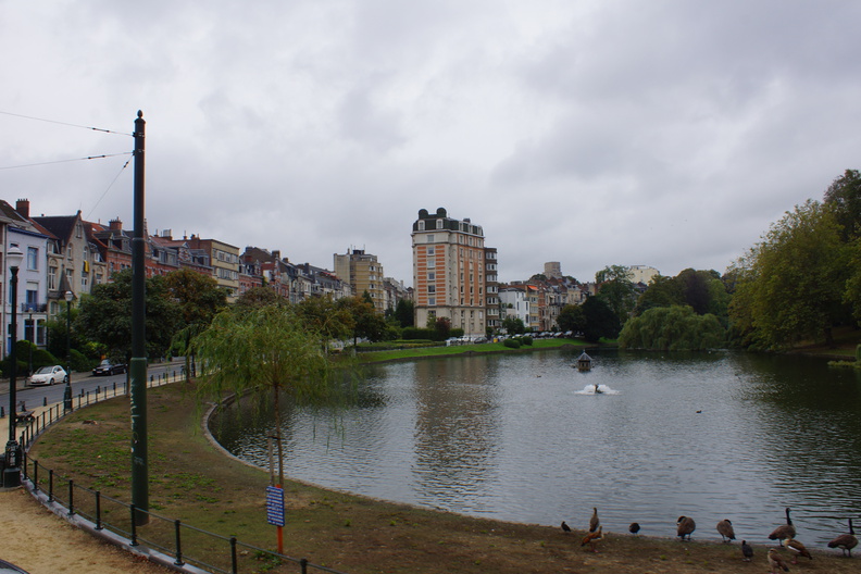 DSC05240.jpg