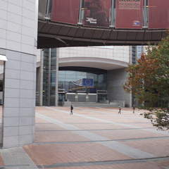 DSC05245