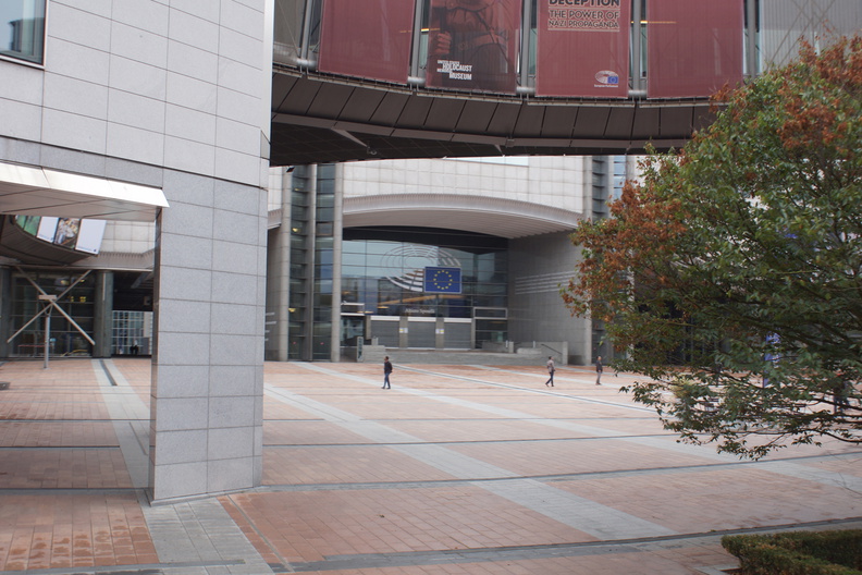 DSC05245.jpg