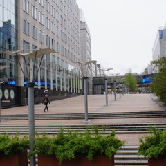 DSC05247
