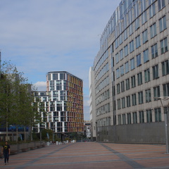 DSC05274