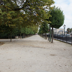 DSC05304