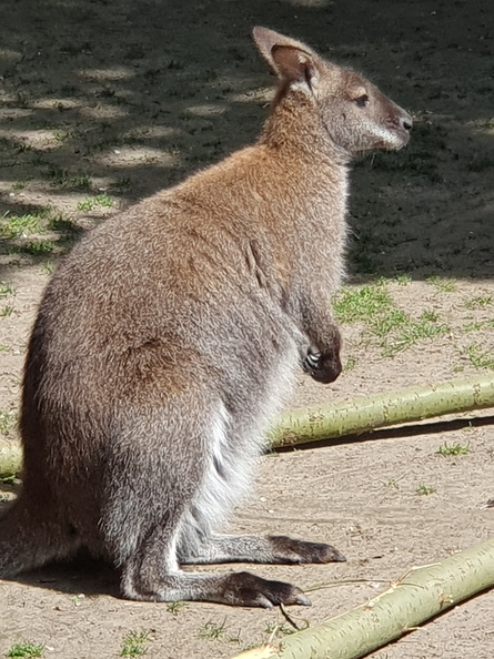 2019-05-12 15.04.15.jpg