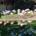 2019-08-31 10.51.14 - Kopie