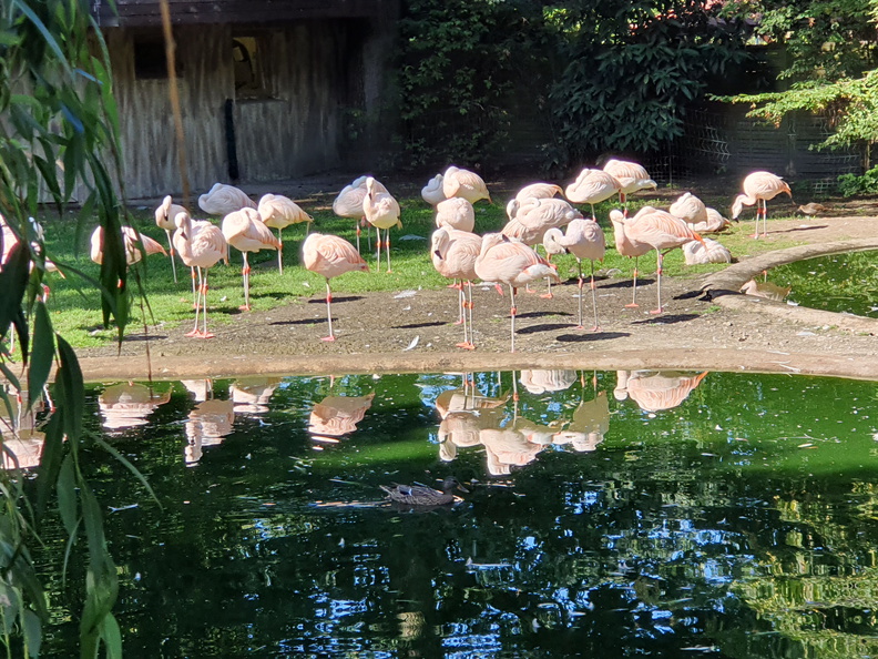 2019-08-31 10.51.14 - Kopie.jpg