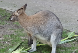 2019-08-31 10.54.02 - Kopie