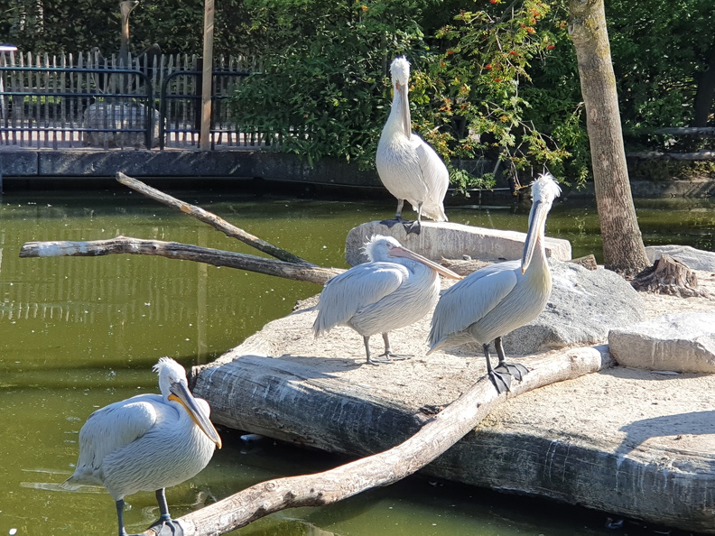 2019-08-31 11.08.22 - Kopie.jpg