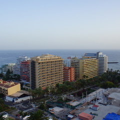 DSC05429