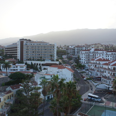 DSC05430