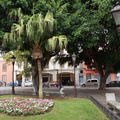 DSC05664