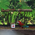 DSC05439
