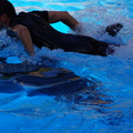 DSC05486
