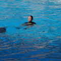 DSC05496