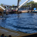 DSC05521