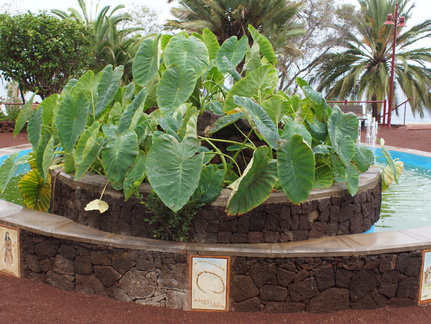 DSC05682