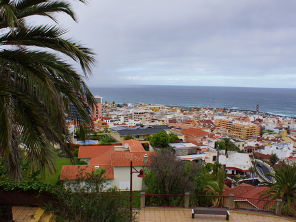 DSC05686
