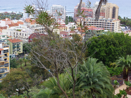 DSC05695