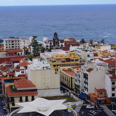 DSC05698