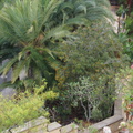 DSC05701