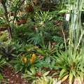 DSC05724
