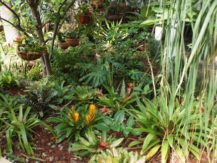 DSC05724