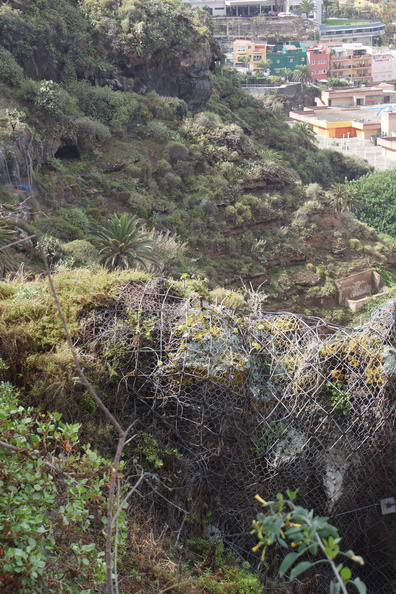 DSC05822.jpg