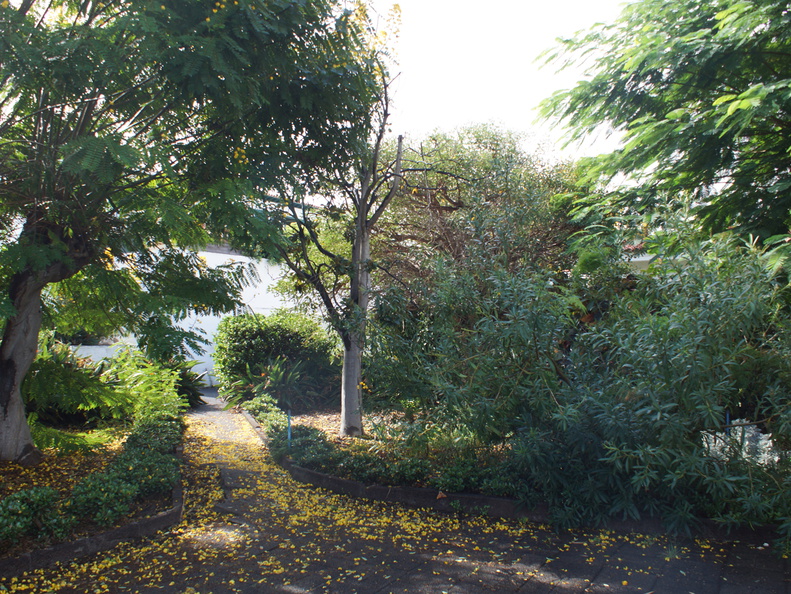 DSC05787