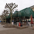 DSC00050