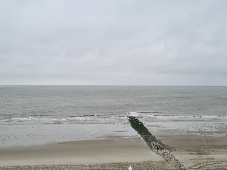 20200903_163426.jpg