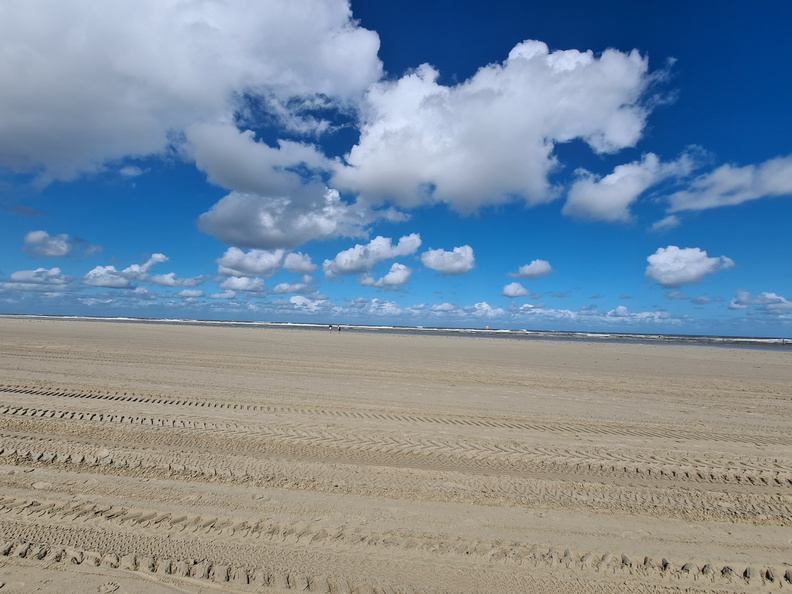 20200905_130609.jpg