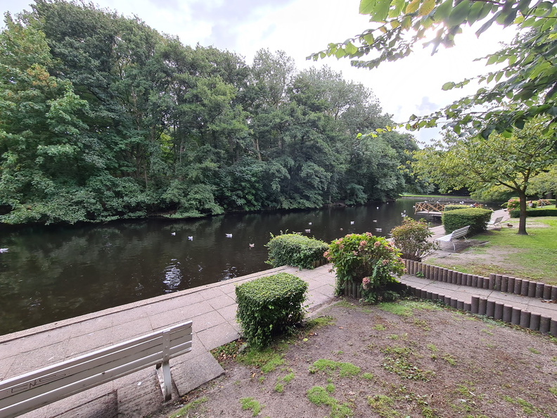 20200906_165934.jpg