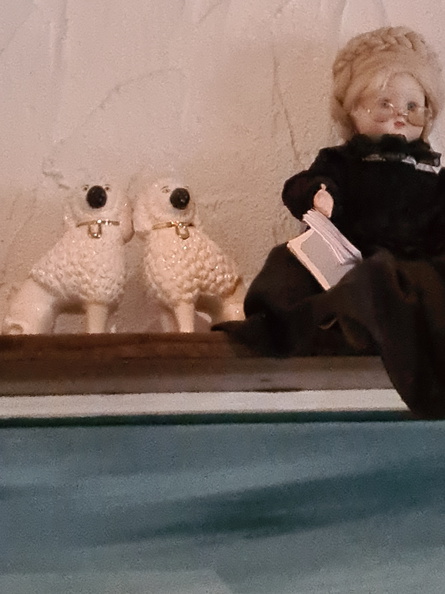 20200909_182142.jpg