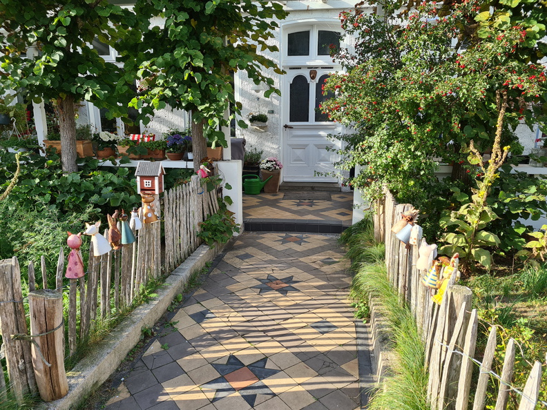 20200910_172659.jpg