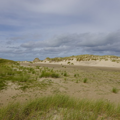 DSC00420