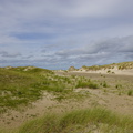 DSC00421