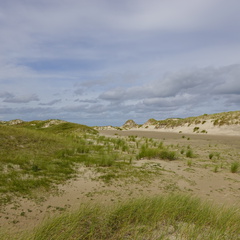 DSC00421