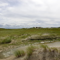 DSC00426
