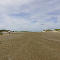 DSC00428