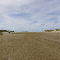 DSC00428