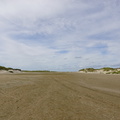 DSC00430