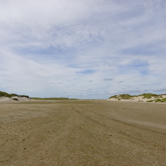 DSC00430