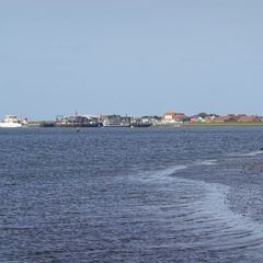 DSC00445
