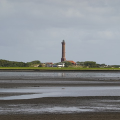 DSC00452